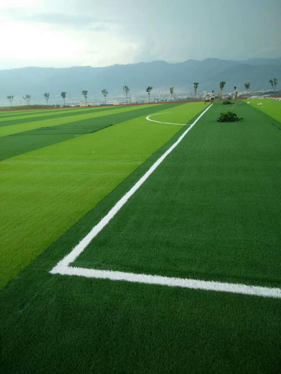 中超 上海海港vs山东